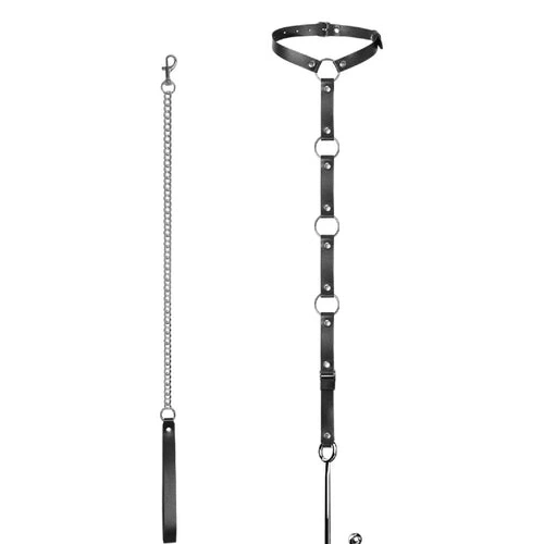 EverydayUse Hook 5853 Collar Leash Anal and Kinky with 0313